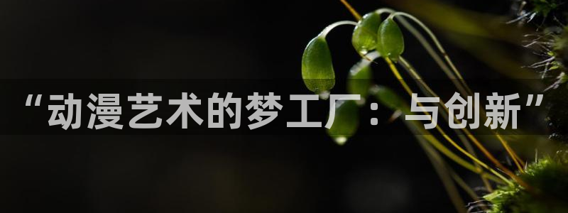 火狼动漫免费观看：“动漫艺术的梦工厂：与创新”