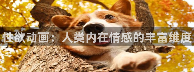 天使火狼动漫：性欲动画：人类内在情感的丰富维度