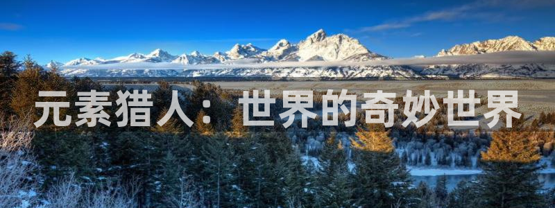 火狼动漫官网动漫观看入口：元素猎人：世界的奇妙世界