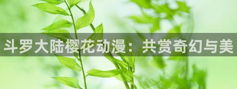 动漫火狼动漫网：斗罗大陆樱花动漫：共赏奇幻与美