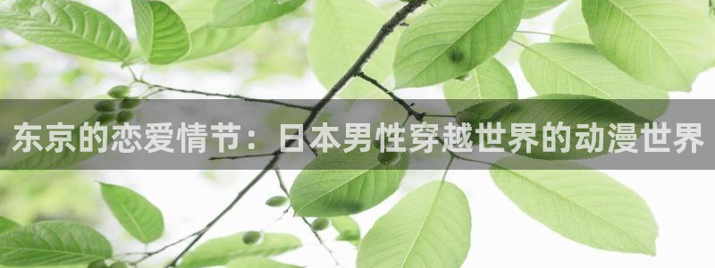 火狼动漫网站在线观看