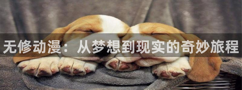火狼动漫官网pro：无修动漫：从梦想到现实的奇妙旅程